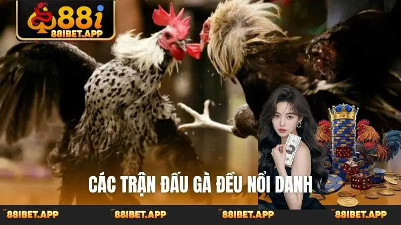 Các trận đấu gà đều nổi danh