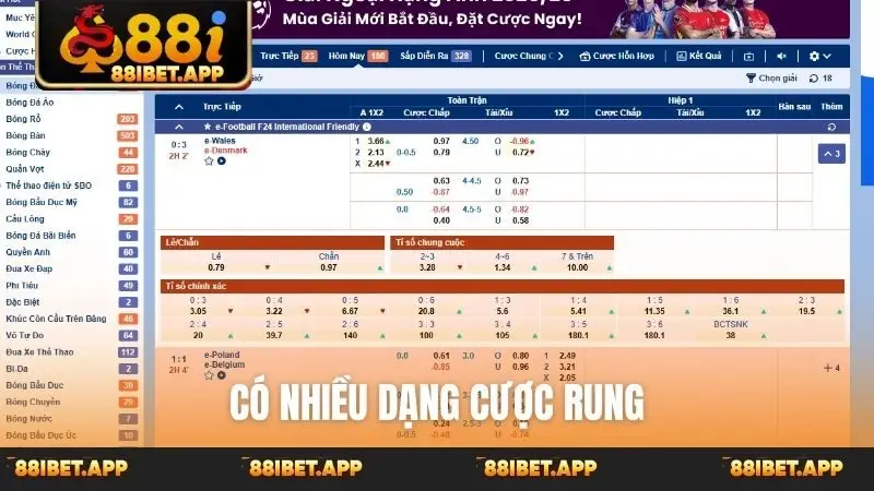 Có nhiều dạng cược rung