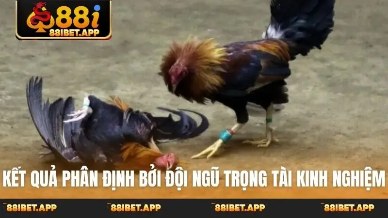 Kết quả phân định bởi đội ngũ trọng tài kinh nghiệm