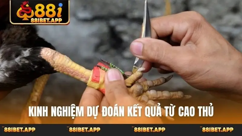 Kinh nghiệm dự đoán kết quả từ cao thủ