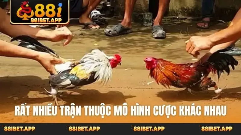 Rất nhiều trận thuộc mô hình cược khác nhau