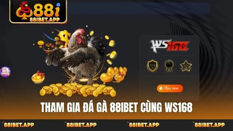 Tham gia đá gà 88ibet cùng WS168