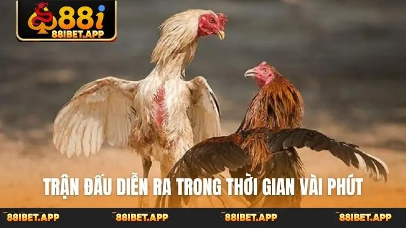 Trận đấu diễn ra trong thời gian vài phút