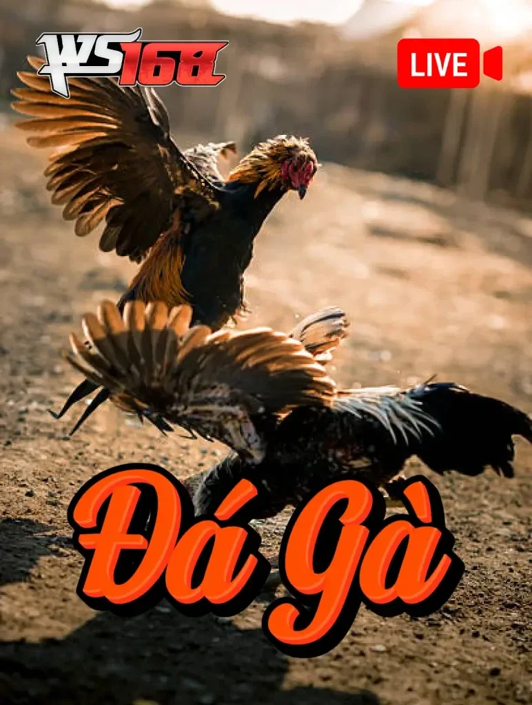 ws168__88ibet