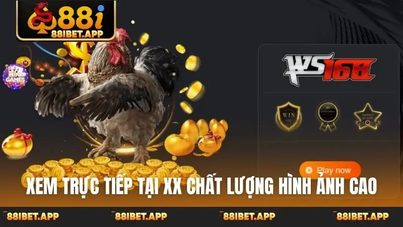 Xem trực tiếp tại 88ibet chất lượng hình ảnh cao
